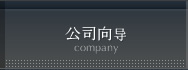 公司向导